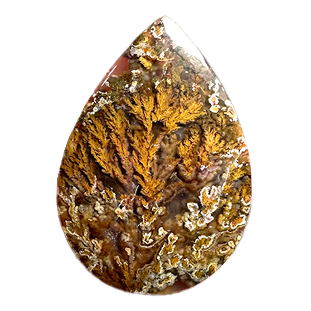 نگین شجر پاییزی